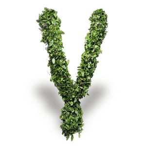 Tulsi Garland